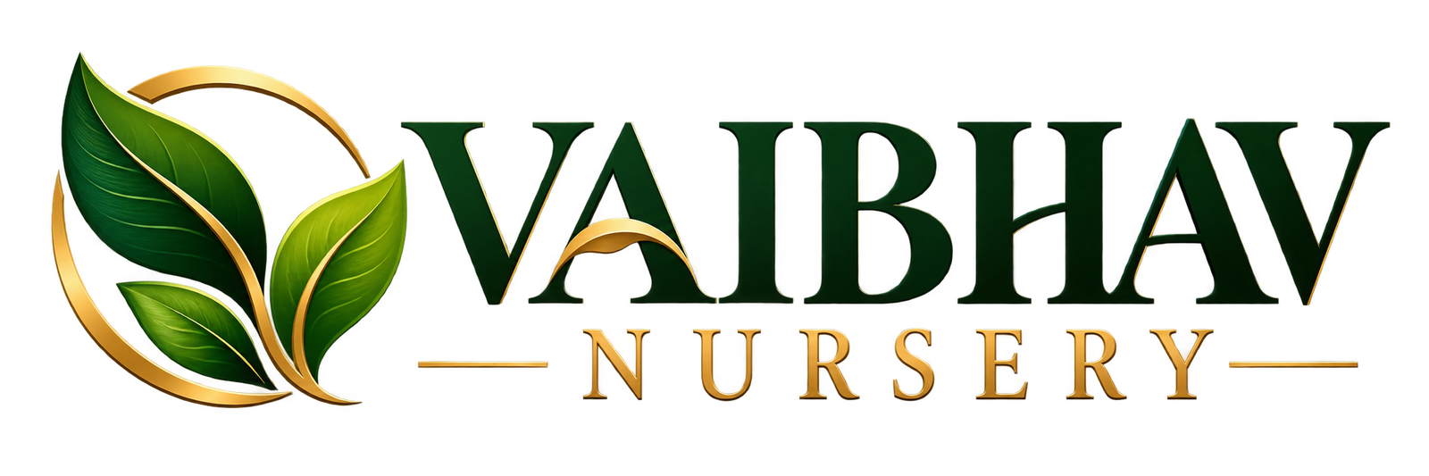 Vaibhav Nursery - Premium Lawn Grass and Landscaping